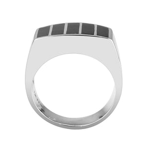 TK3767 - High polished (no plating) Stainless Steel Ring with Epoxy in Jet