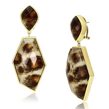 Cargar imagen en el visor de la galería, VL074 - IP Gold(Ion Plating) Brass Earrings with Synthetic Synthetic Stone in Animal pattern